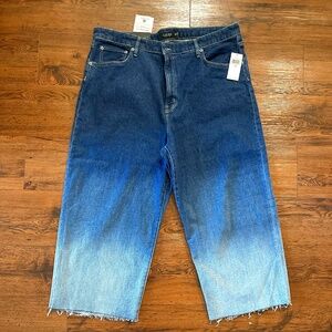 High Rise Size 18W Wide Leg Jeans